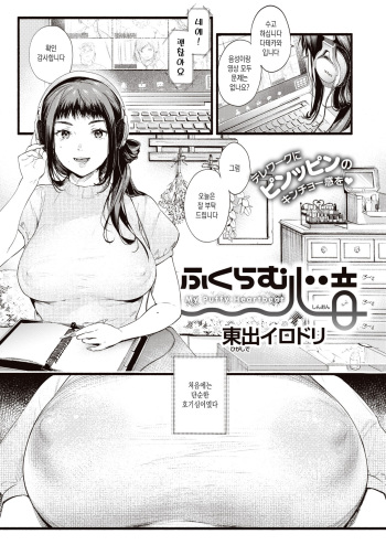 Hukuramu Shinon cover
