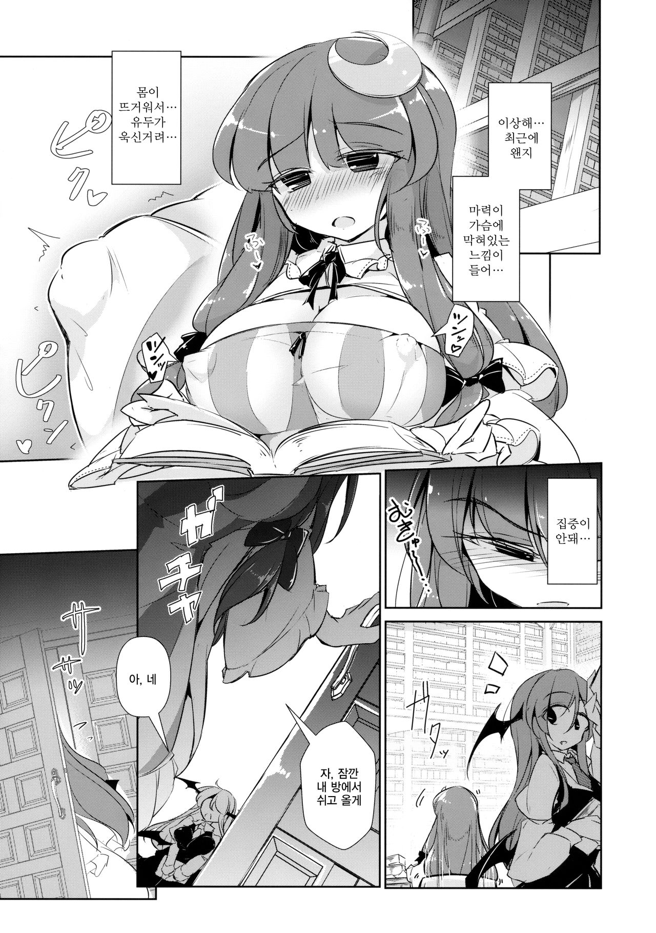 PatchouKoa Nyuuetsu Shujuu Gyakutenda | 파츄코아 유열 주종역전 타 page 10 full