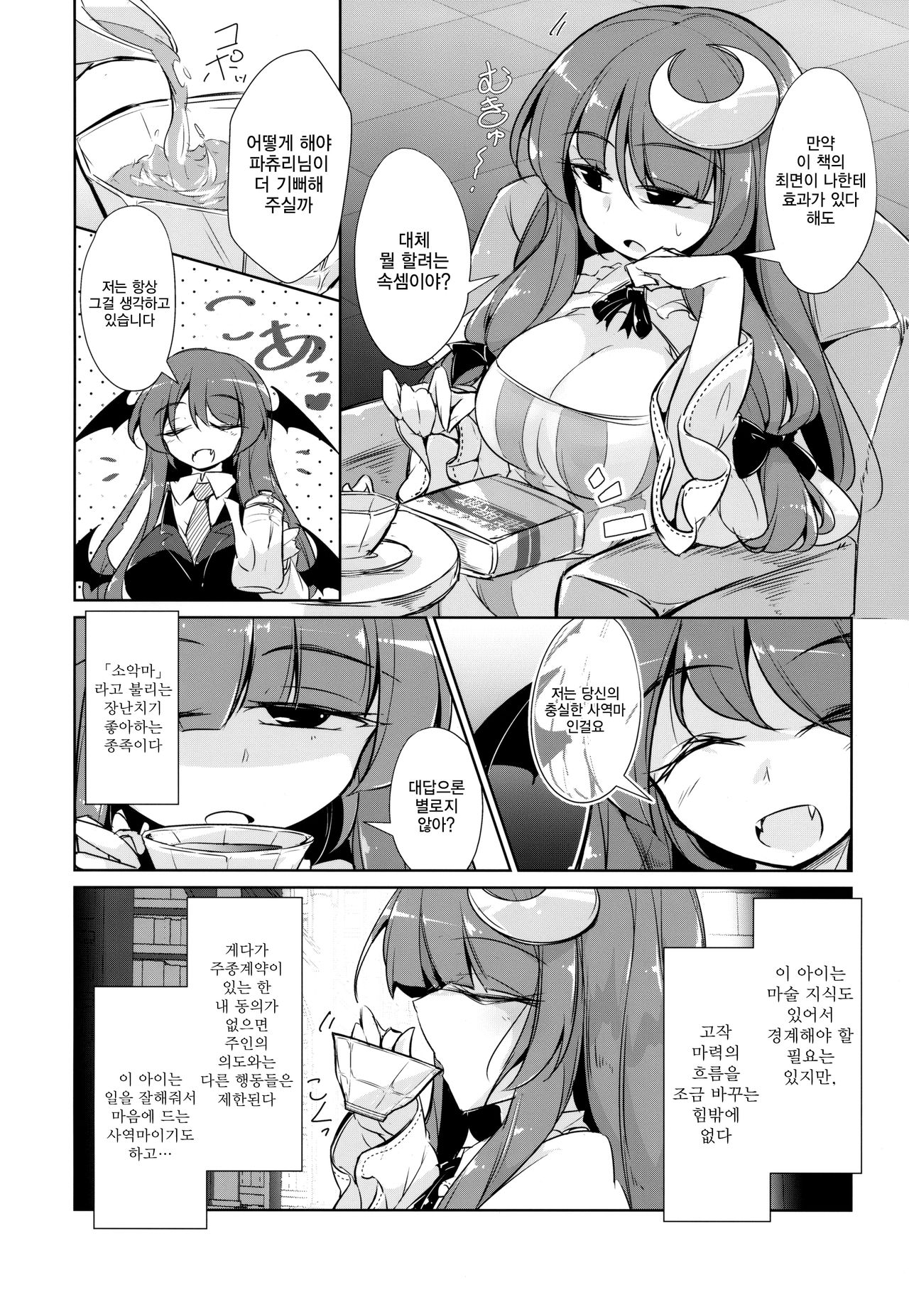 PatchouKoa Nyuuetsu Shujuu Gyakutenda | 파츄코아 유열 주종역전 타 page 3 full