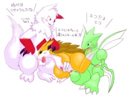 agn.ph siterip 22,000~23,999