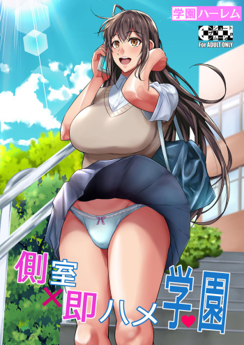 Concubine X Casual Sex Campus cover
