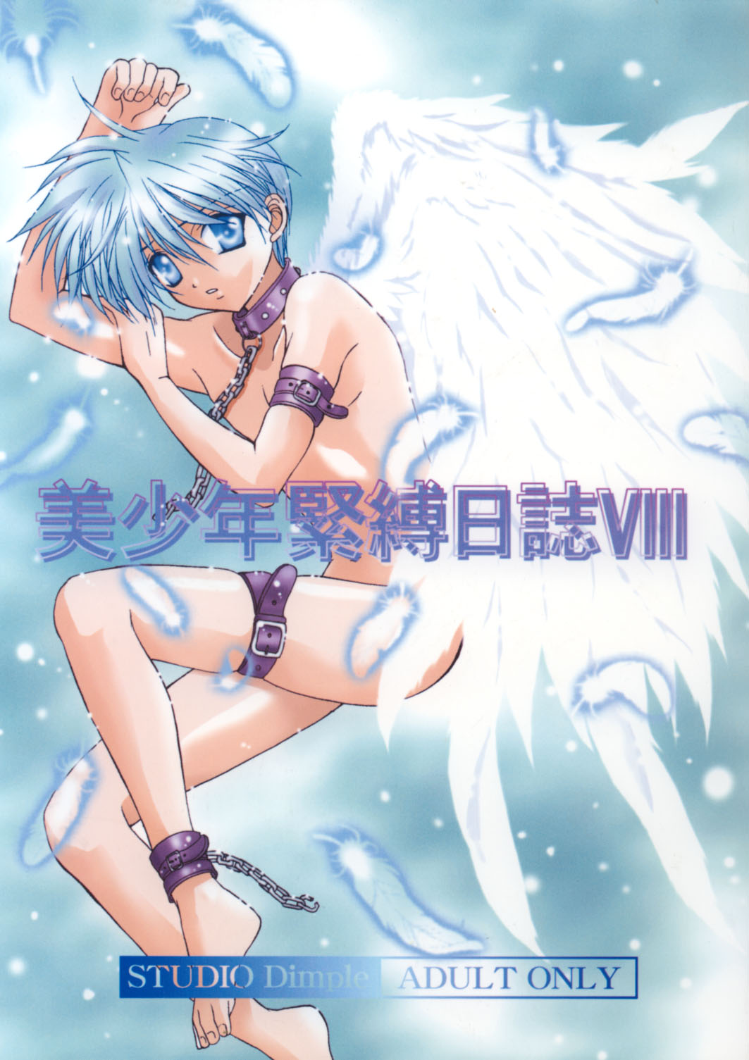 Bishounen Kinbaku Nisshi VIII page 1 full