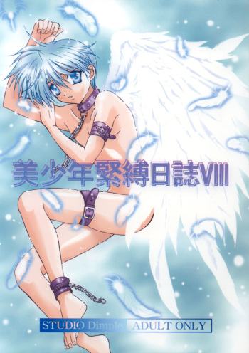 Bishounen Kinbaku Nisshi VIII cover