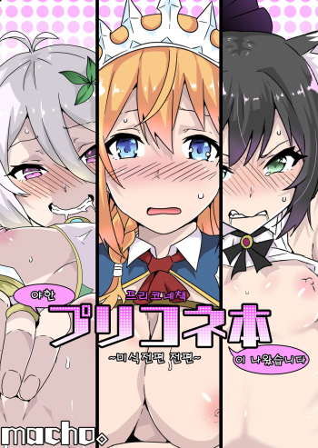 Ecchi na PriConne Bon ga Dekimashita ~Bishokuden Hen Zenpen~ cover