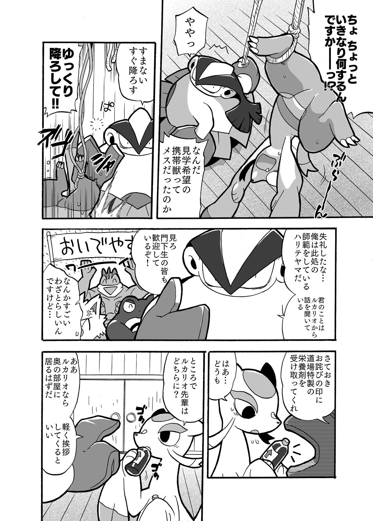 Mienshao &amp; Lucario page 2 full