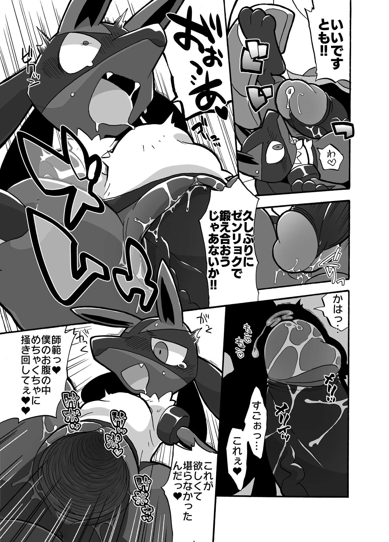 Mienshao &amp; Lucario page 9 full