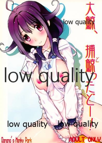 Taigei, Totta doo! cover