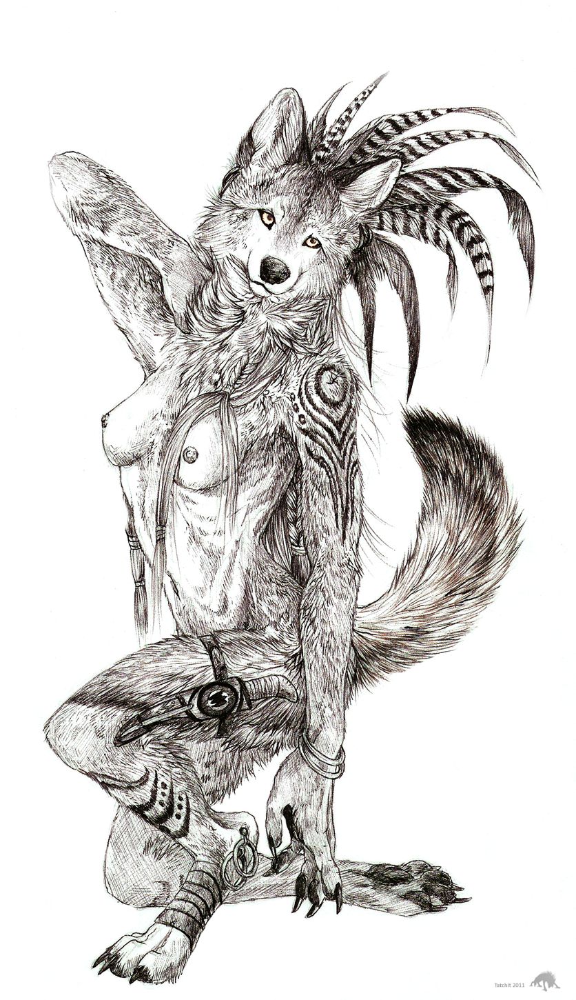 furry.booru.org siterip 262,000~263,999 page 7 full