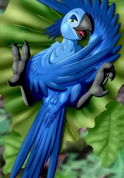 furry.booru.org siterip 262,000~263,999