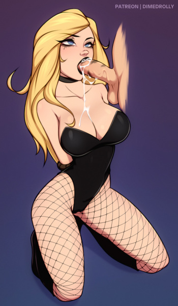 DC | Black Canary cover