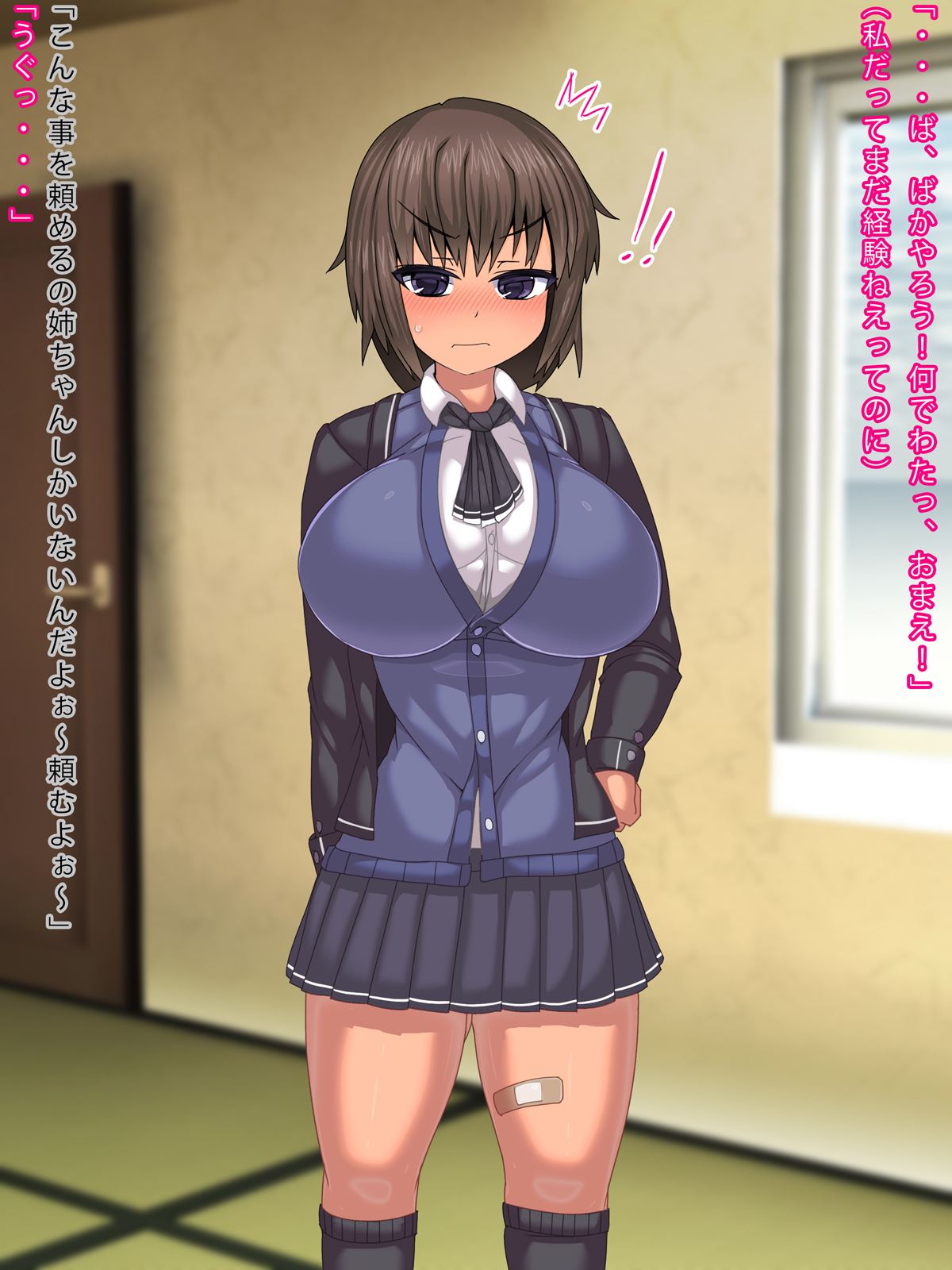 Soudan ni Notte Kureta Nee-chan ni Nakadashi Haramase Seikatsu page 6 full