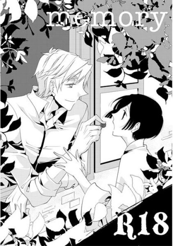 memory cover