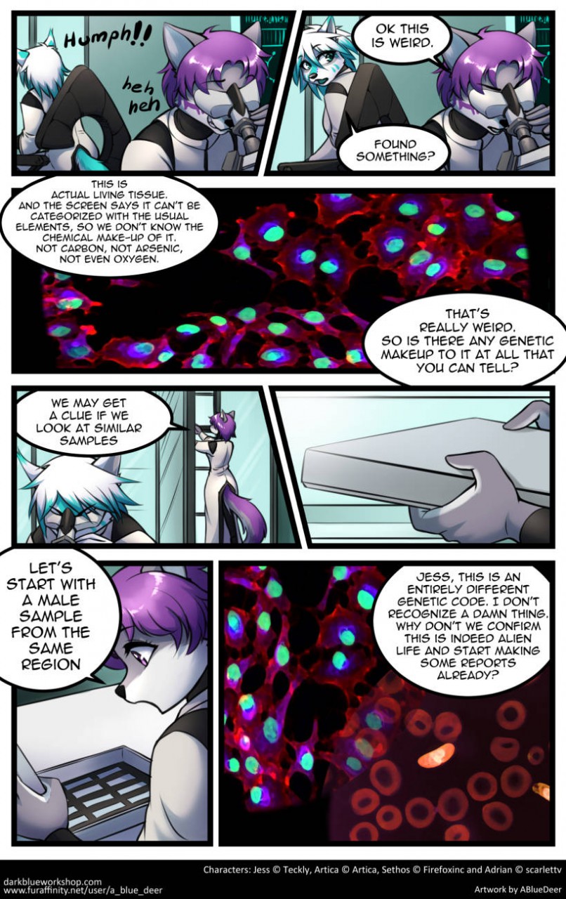 Entity page 8 full
