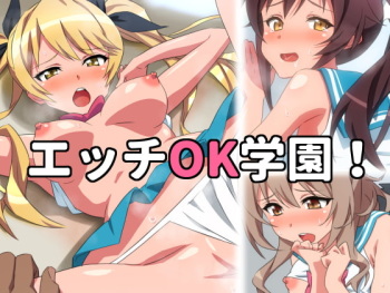 Ecchi OK Gakuen! cover
