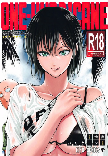 ONE-HURRICANE 6.5 cover