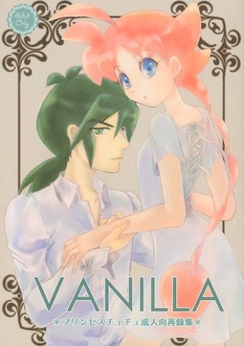VANILLA purinsesuchuchu seijin kō sairoku-shū  sample cover