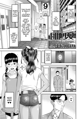 Danchi Shoujo - Wonderful Environment cover