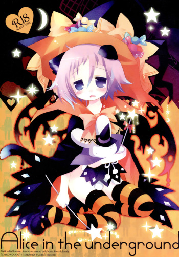 Alice in the underground cover