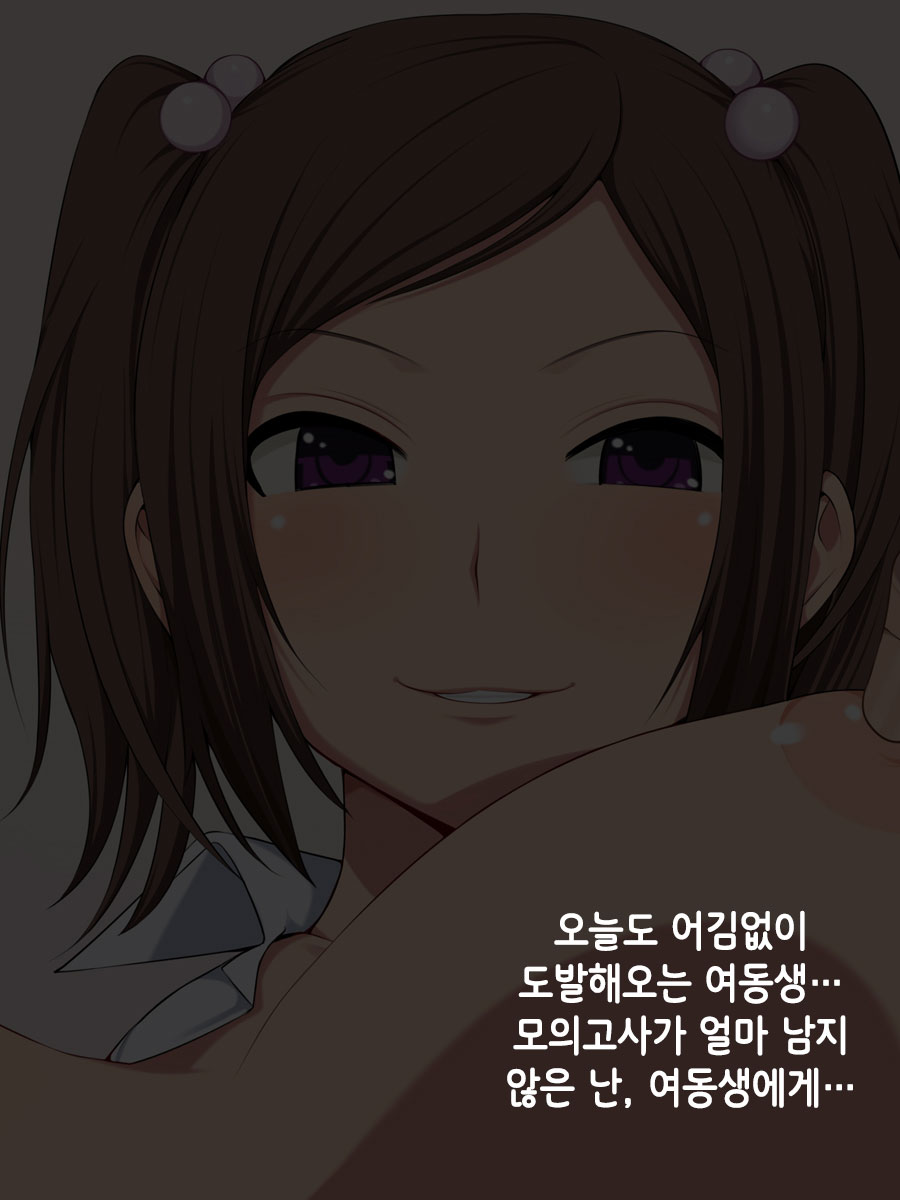 Namaiki! ~Sex Chuudoku na Imouto to Boku no Jouji~｜건방져! 섹스 중독인 여동생과 나의 정사 page 3 full