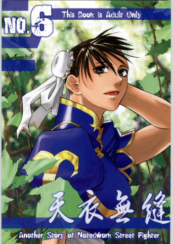 Tenimuhou No.6 - Another Story of Notedwork Street Fighter cover