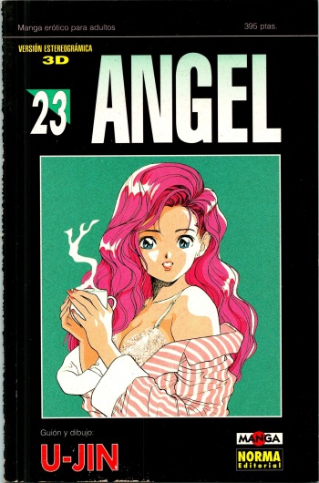 Angel 23 cover