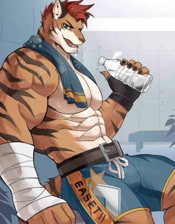Samba Pack cover