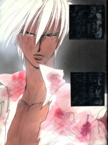 Kirei cover
