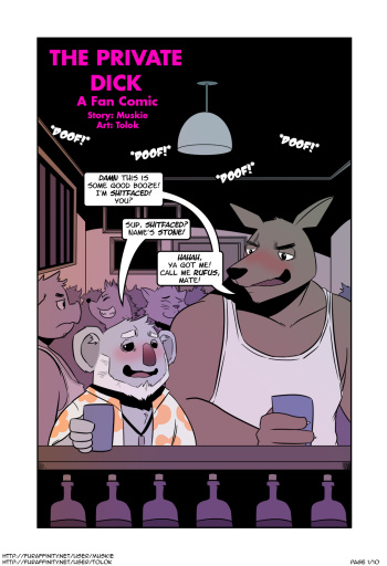 The Private Dick cover