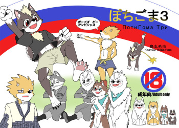 Pochigoma 3 cover