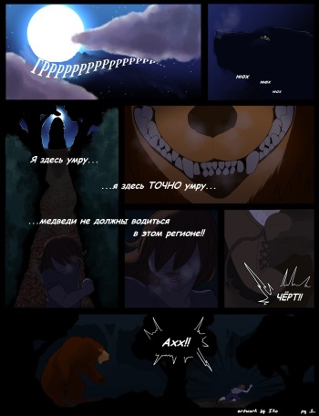 Beware of bear cover