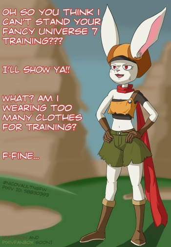 Universe 7 Training cover