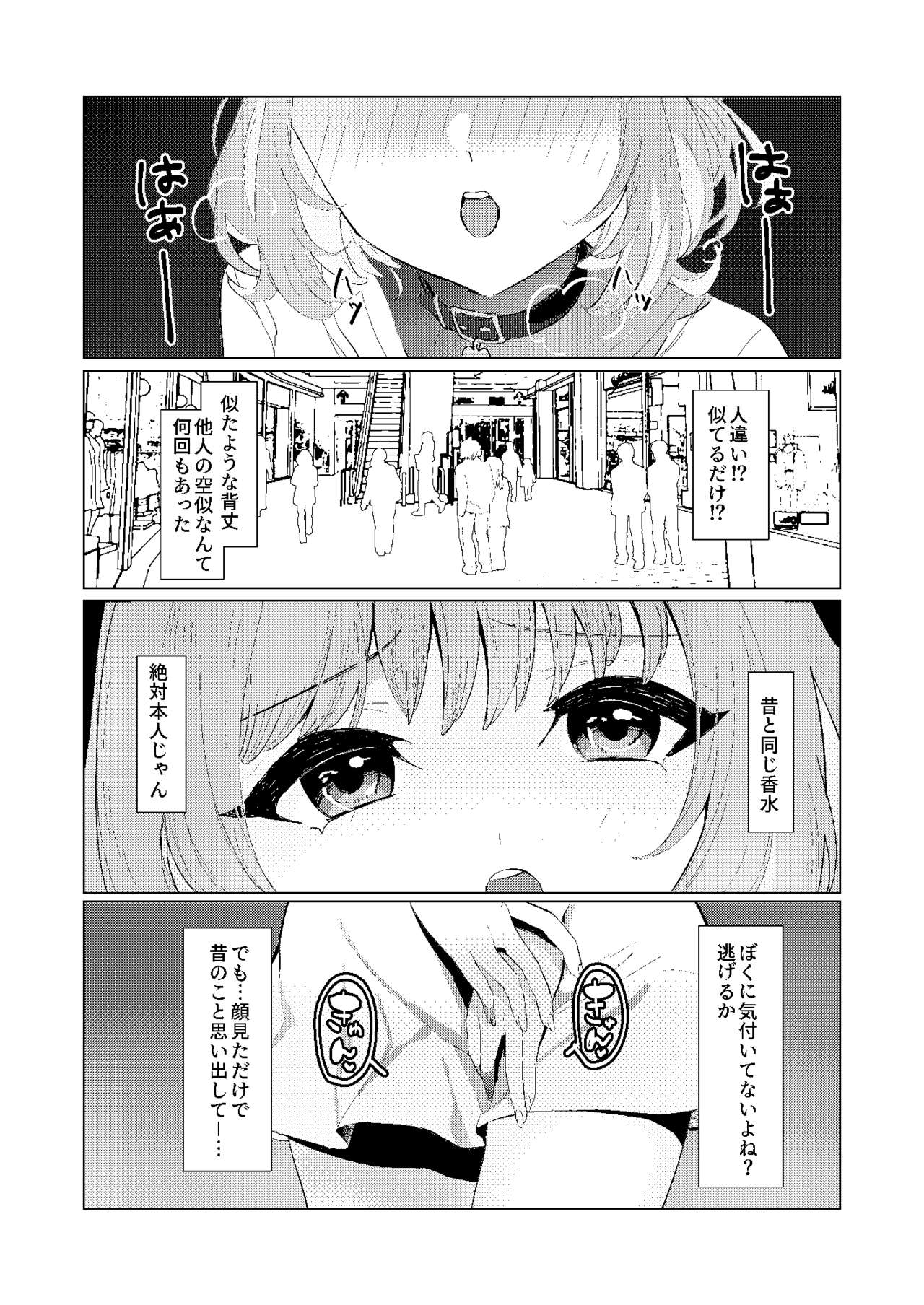 夢〇りあむの青春 page 2 full