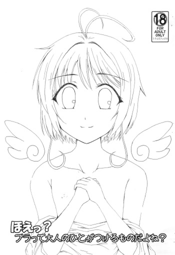 Hoe? Bra tte Otona no Hito ga Tsukeru mono da yo ne? cover