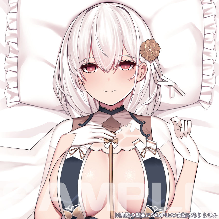 Dakimakura page 10 full