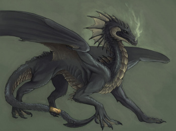 dragon.booru.org siterip 1~1,999 cover