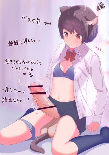 Nekomimi Futanari-chan ga Shikoshiko suru Yatsu cover