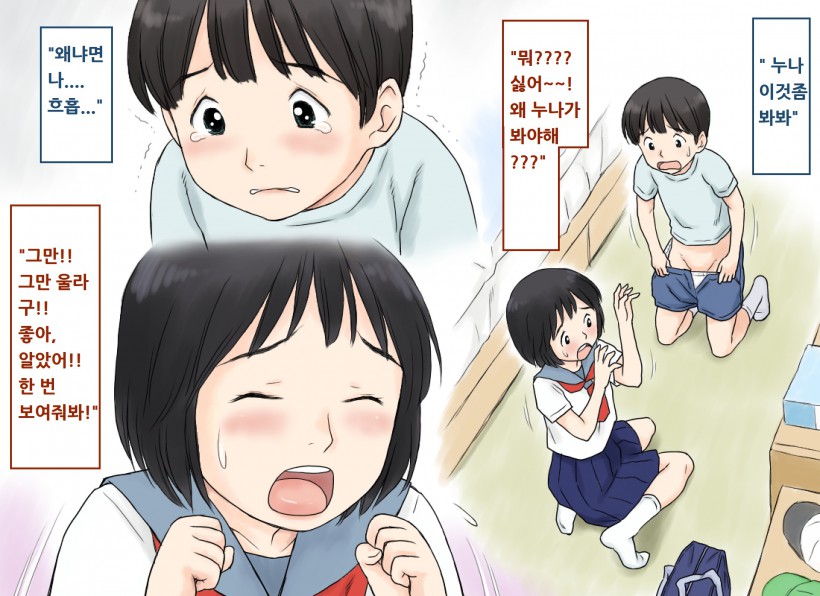 Seini Kyomi O Mochi Hajimeta Ane To Ototo No Shotaiken | 성에 관심을 갖기 시작한 누나와 동생의 첫 경험 page 6 full