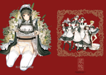 SWAN MAID ACADEMY cover
