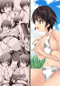 Ikinari Oikawa Shizuku-chan | 갑자기 오이카와 시즈쿠쨩
