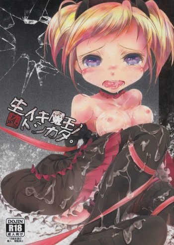 Namaiki Maou no Otoshikata. cover