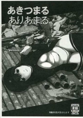 Akitsumaru Ariamaru cover