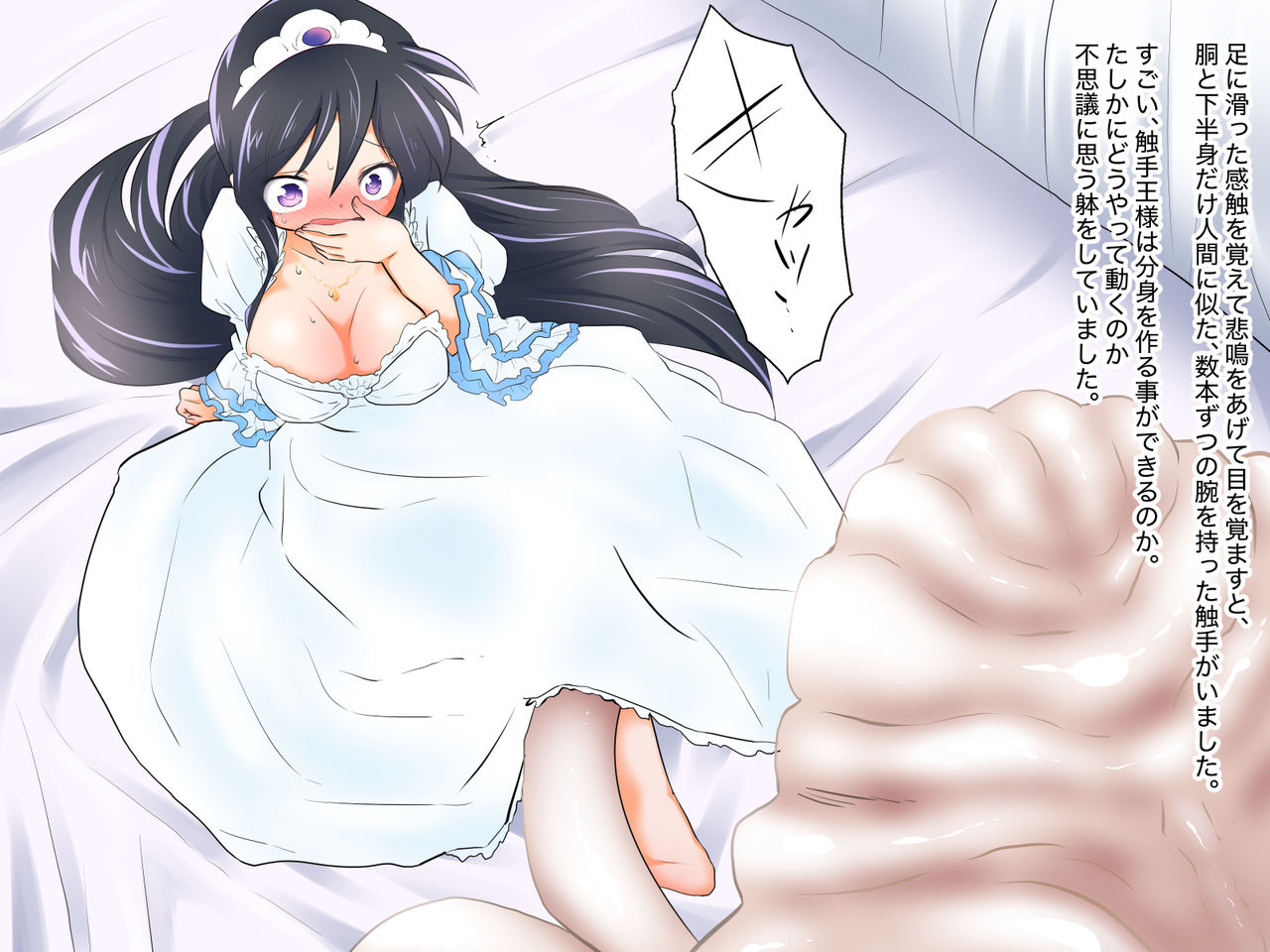 Shokushu ni Totsuida Hime Nikki <Zenpen> page 9 full