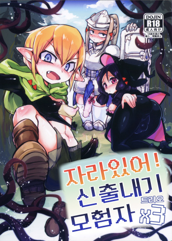 Haeteru! Kakedashi Boukensha Trioㅣ자라있어! 신출내기 모험자 트리오 cover