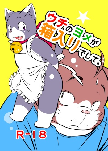 Uchi no Yome ga Hakoiri deshite. cover