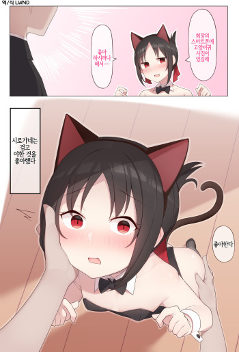 Nekomimi no Kaguya-sama cover