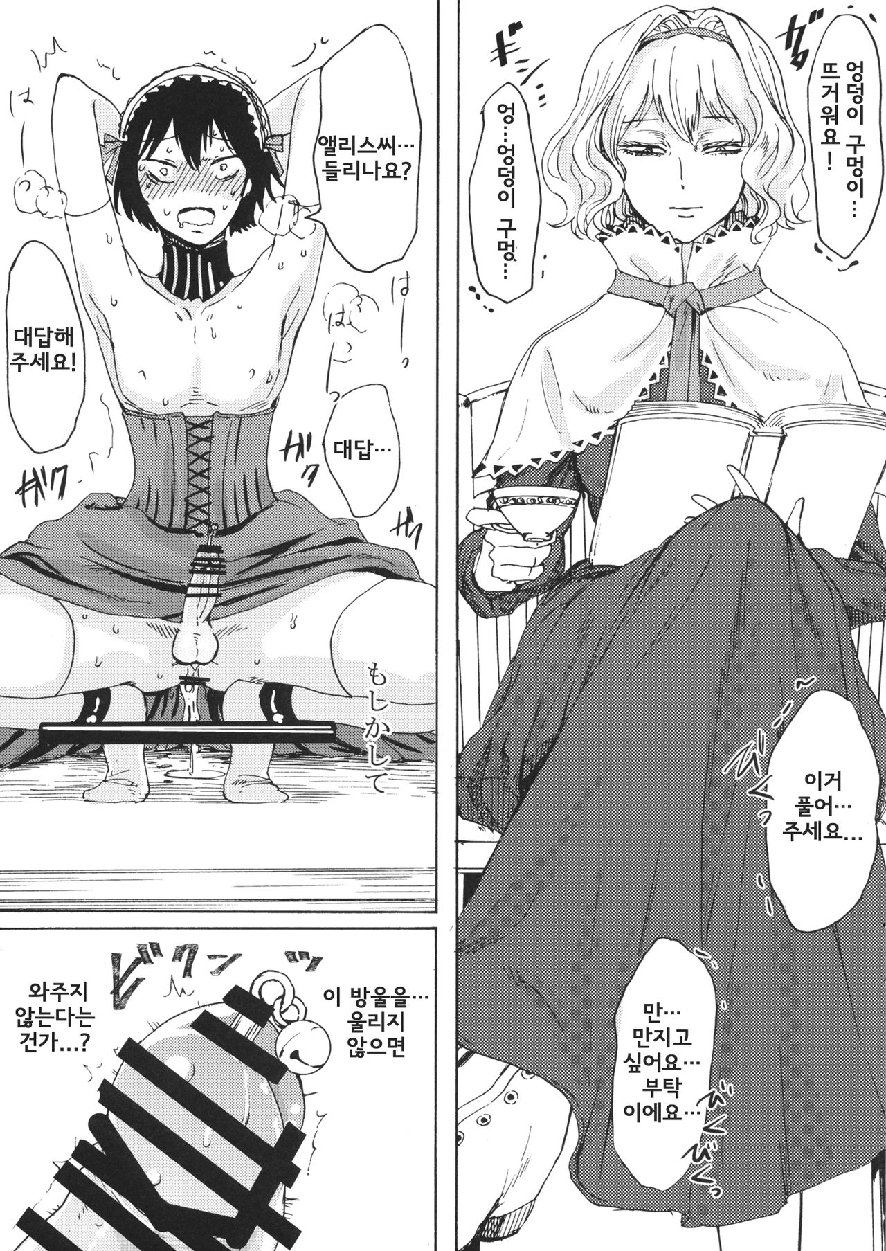 Alice no Ikiningyou | 앨리스의 살아있는 인형 page 10 full