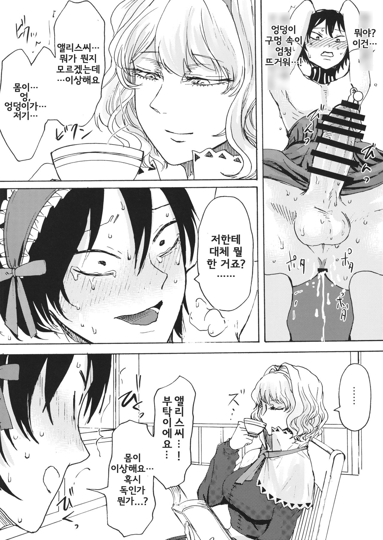 Alice no Ikiningyou | 앨리스의 살아있는 인형 page 9 full