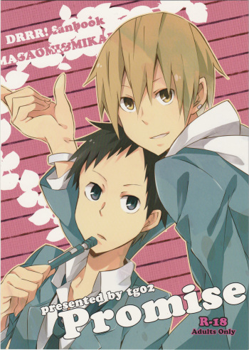 Promise cover