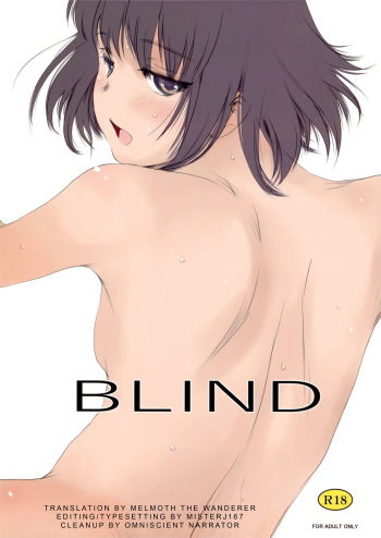 Blind cover