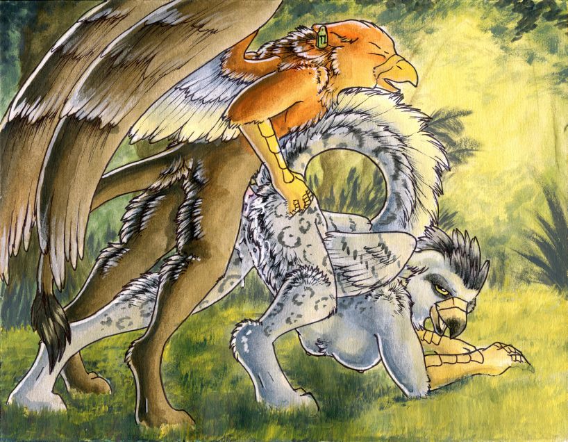 furry.booru.org siterip 96,000~97,999 page 1 full